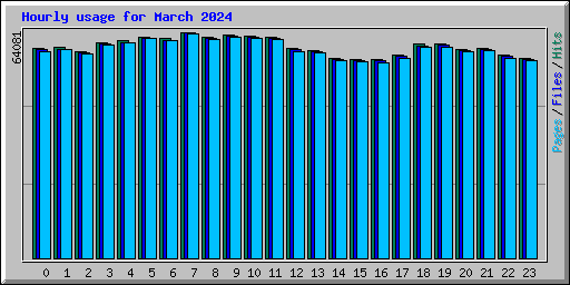 Hourly usage for March 2024