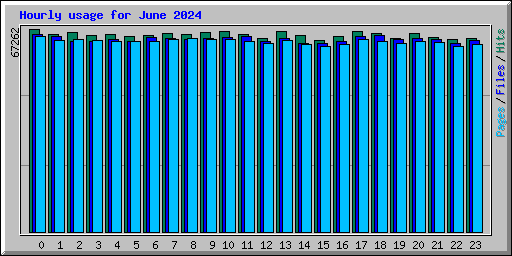 Hourly usage for June 2024