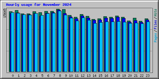 Hourly usage for November 2024