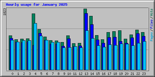 Hourly usage for January 2025