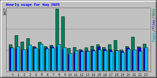 Hourly usage for May 2025