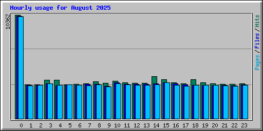 Hourly usage for August 2025
