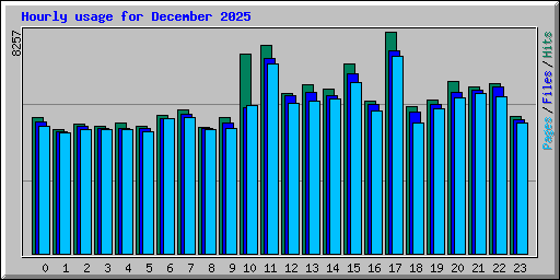 Hourly usage for December 2025