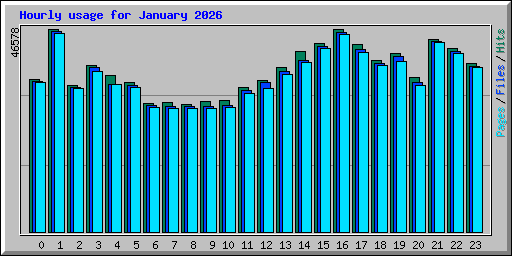 Hourly usage for January 2026