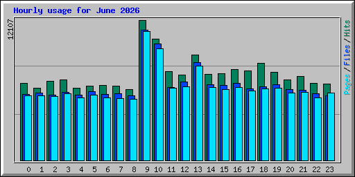 Hourly usage for June 2026